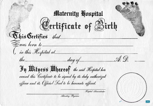 Angola LNG proof of address utility bill template in Word and PDF format Angola LNG proof of address utility bill template in Word and PDF format